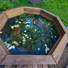 База отдыха Беликово Клуб Хаус, Московская область