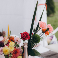 База отдыха Беликово Клуб Хаус, Московская область