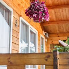 Глэмпинг Sinop-Houses, Сухум