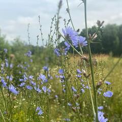 Усадьба Кузьмищево, Тульская область