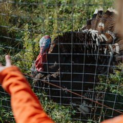 Усадьба Кузьмищево, Тульская область