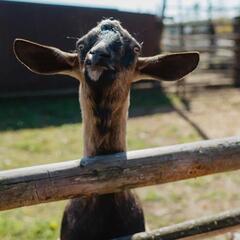 Усадьба Кузьмищево, Тульская область