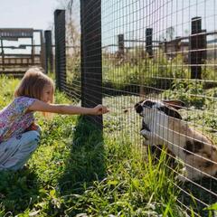 Усадьба Кузьмищево, Тульская область