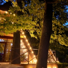 Гостевой дом Чаща , Волгоградская область