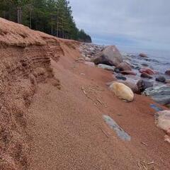 Гостевой дом Лисий берег, Республика Карелия