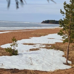 Гостевой дом Лисий берег, Республика Карелия