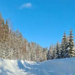 Гостевой дом Лисий берег, Республика Карелия