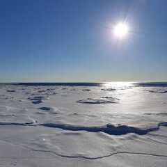 Гостевой дом Лисий берег, Республика Карелия
