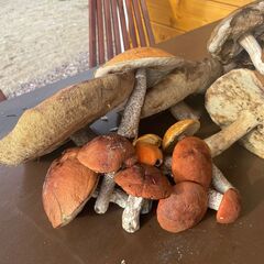 Гостевой дом Лисий берег, Республика Карелия