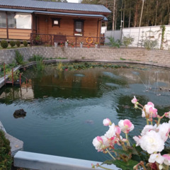 Загородный комплекс Карпин Пруд, Ленинградская область