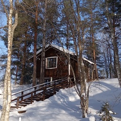 Гостевой дом Домик в Харвиа, Республика Карелия