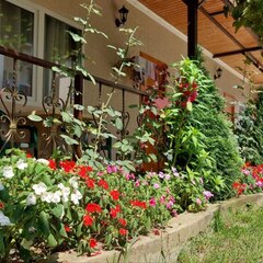 Гостевой дом Sea Breeze, Гагрский район