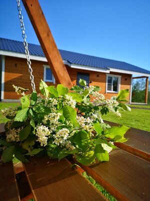 Лисий берег — отдых в Карелии — фото 5