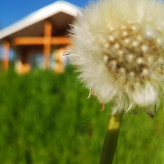 Гостевой дом Лисий берег — отдых в Карелии, Республика Карелия