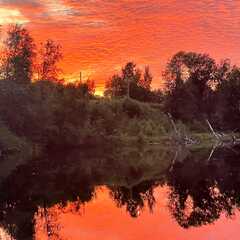 Гостевой дом Лисий берег — отдых в Карелии, Республика Карелия