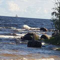 Гостевой дом Лисий берег — отдых в Карелии, Республика Карелия