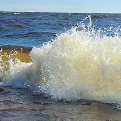 Гостевой дом Лисий берег — отдых в Карелии, Республика Карелия