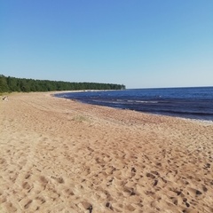 Гостевой дом Лисий берег — отдых в Карелии, Республика Карелия