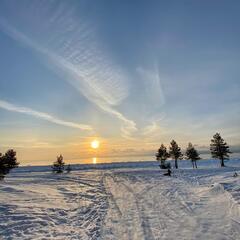 Гостевой дом Лисий берег — отдых в Карелии, Республика Карелия