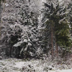 Гостевой дом Inkeriloft, Ленинградская область