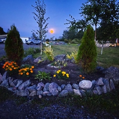 Дом в аренду Деревня Терву, Республика Карелия