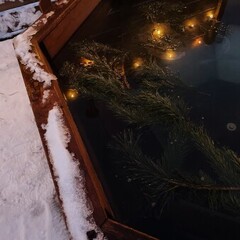 Дом Лемура, Московская область