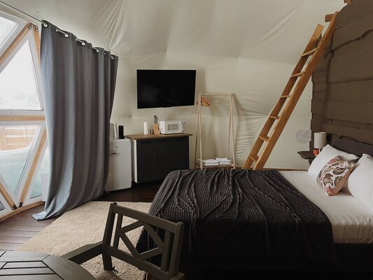 Лемура — фото 2