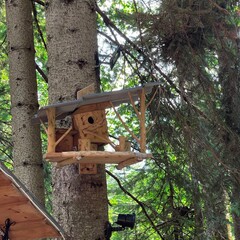 База отдыха Архыз у Зухры , Республика Карачаево-Черкесия 