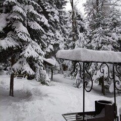 База отдыха Архыз у Зухры , Республика Карачаево-Черкесия 