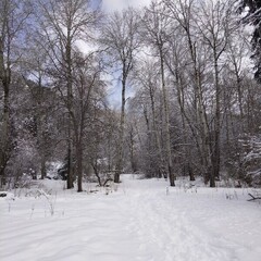 База отдыха Архыз у Зухры , Республика Карачаево-Черкесия 