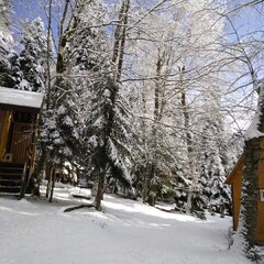База отдыха Архыз у Зухры , Республика Карачаево-Черкесия 