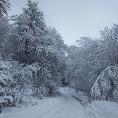 База отдыха Архыз у Зухры , Республика Карачаево-Черкесия 