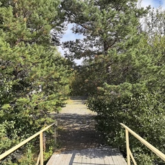 База отдыха Кускас, Мурманская область