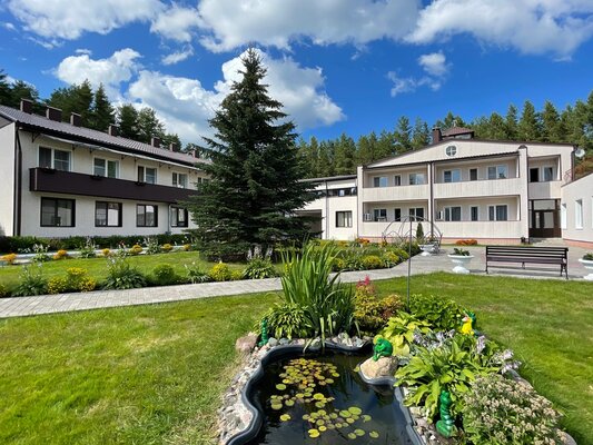 Лесная сказка — фото 4