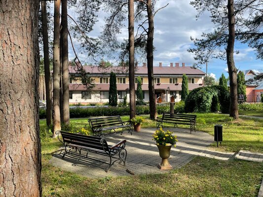 Лесная сказка — фото 3