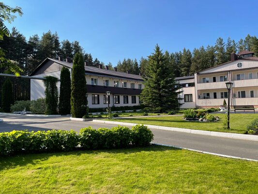 Лесная сказка — фото 2