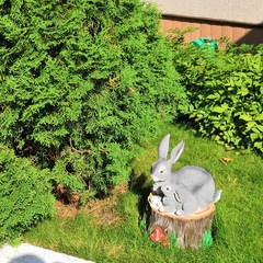 Пансионат Лесная сказка, Ярославская область