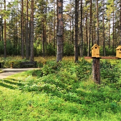 Пансионат Лесная сказка, Ярославская область