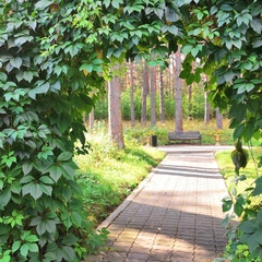 Пансионат Лесная сказка, Ярославская область