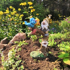 Пансионат Лесная сказка, Ярославская область