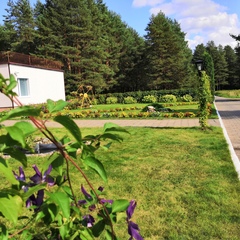 Пансионат Лесная сказка, Ярославская область