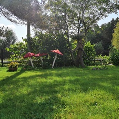 Пансионат Лесная сказка, Ярославская область