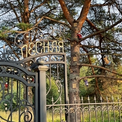 Пансионат Лесная сказка, Ярославская область