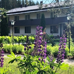 Пансионат Лесная сказка, Ярославская область