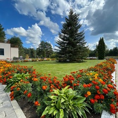 Пансионат Лесная сказка, Ярославская область