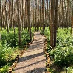 Пансионат Лесная сказка, Ярославская область