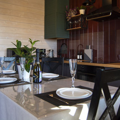 Частный дом Инкеритало, Ленинградская область