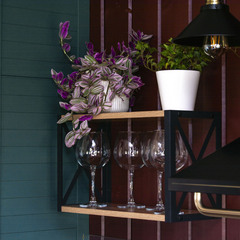 Частный дом Инкеритало, Ленинградская область