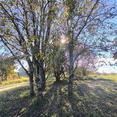 Частный дом Инкеритало, Ленинградская область