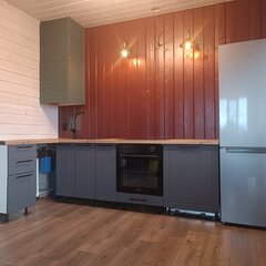 Частный дом Инкеритало, Ленинградская область